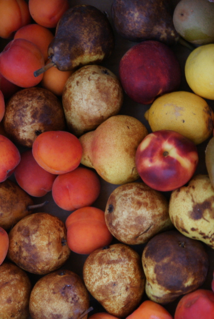 Fruits de saison - Banque Alimentaire Toulouse